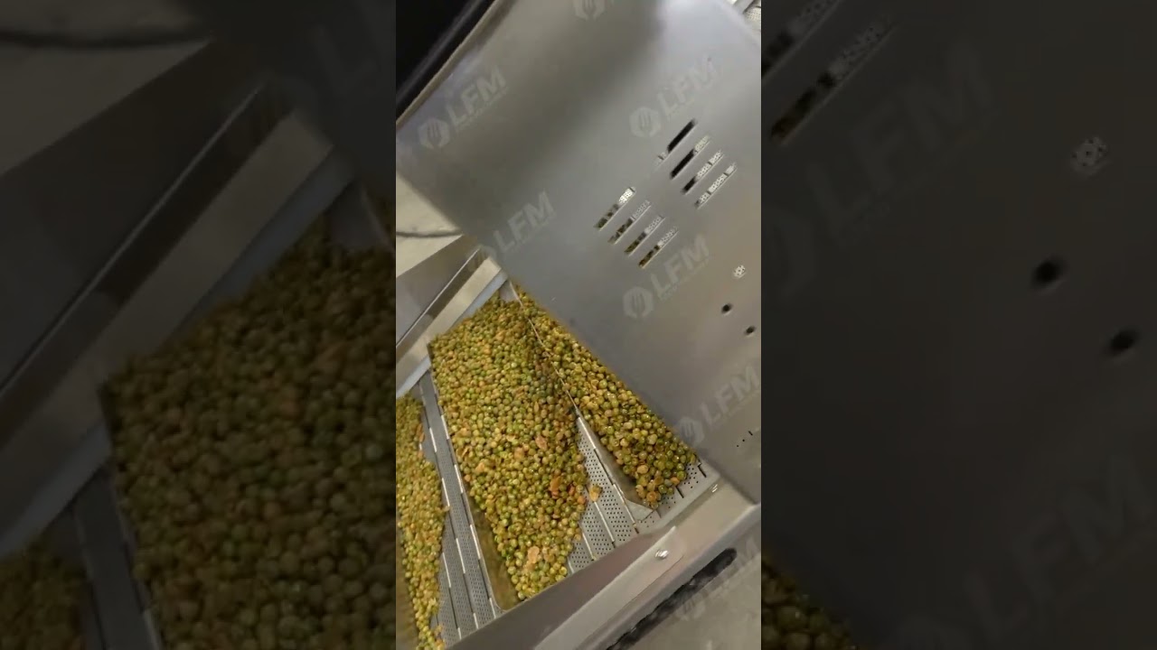 Green Peas Frying Line, Green Beans Frying Machine