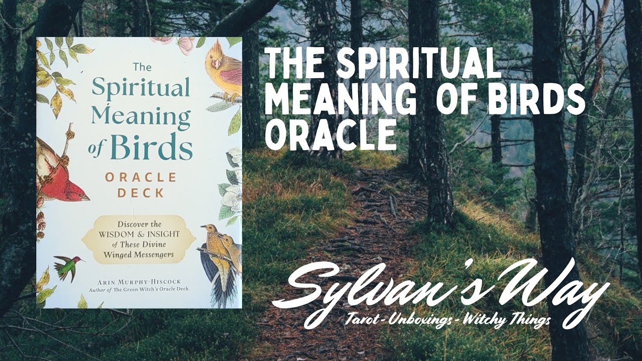 The Spiritual Meaning of Birds | Deck Review