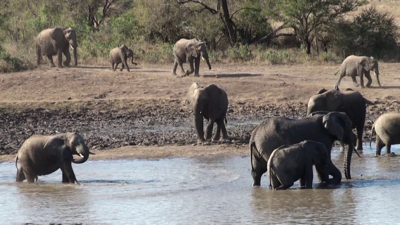 2010 Zuid Afrika
