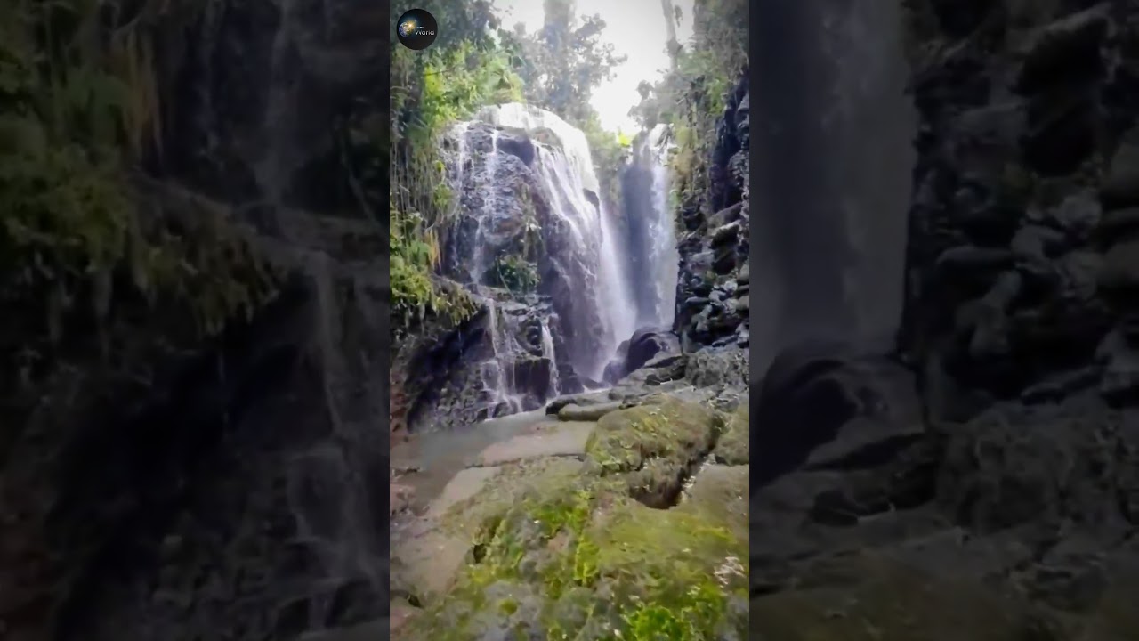 There is a strange rock formation that looks like a giant Snake!😲|| #thailand #snake #youtubeshorts