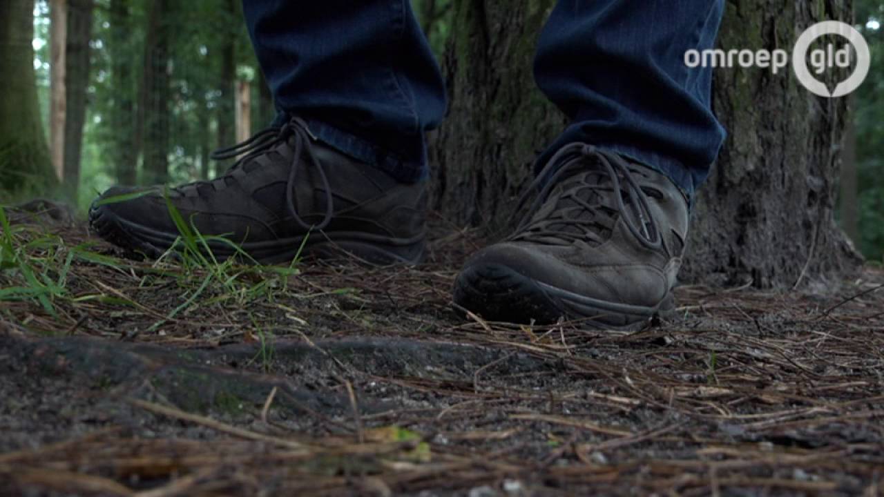 Ede sluit homo-ontmoetingsplaats Ginkelse Heide; COC: 'Het was een trekpleister'