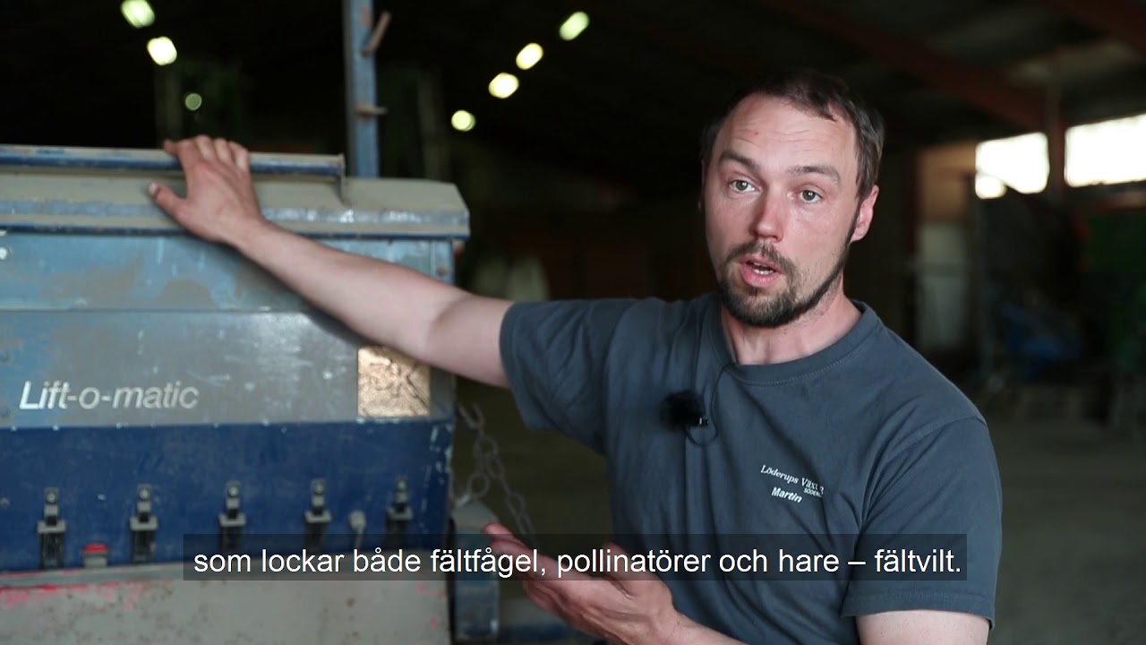 S&aring;dd av Blommande F&auml;ltbrunnar p&aring; S&ouml;derg&aring;rd, Odling i Balans