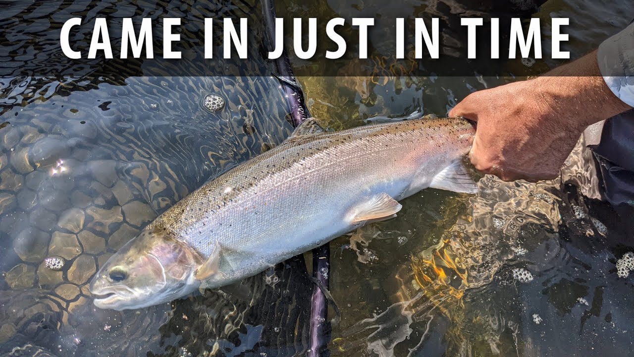 Fly Fishing - Spey Trip with Jon Hazlett, Oregon 2022