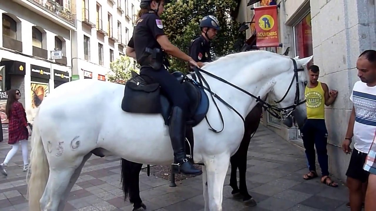 Policías a caballo-Puerta del Sol-Madrid-España 2