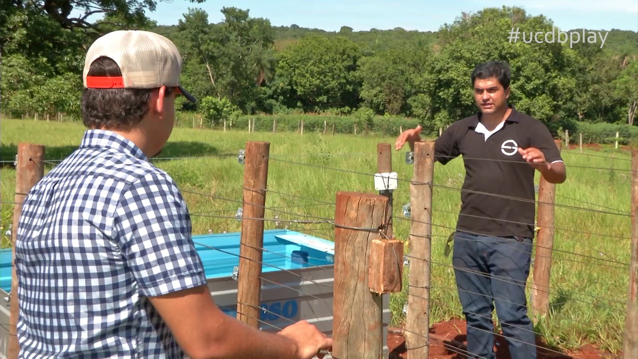 UCDB Play - Balança para o gado