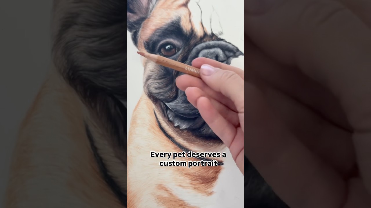 I use Luminance color pencils in pet portraits. It’s a premium brand Caran D’ache from Switzerland