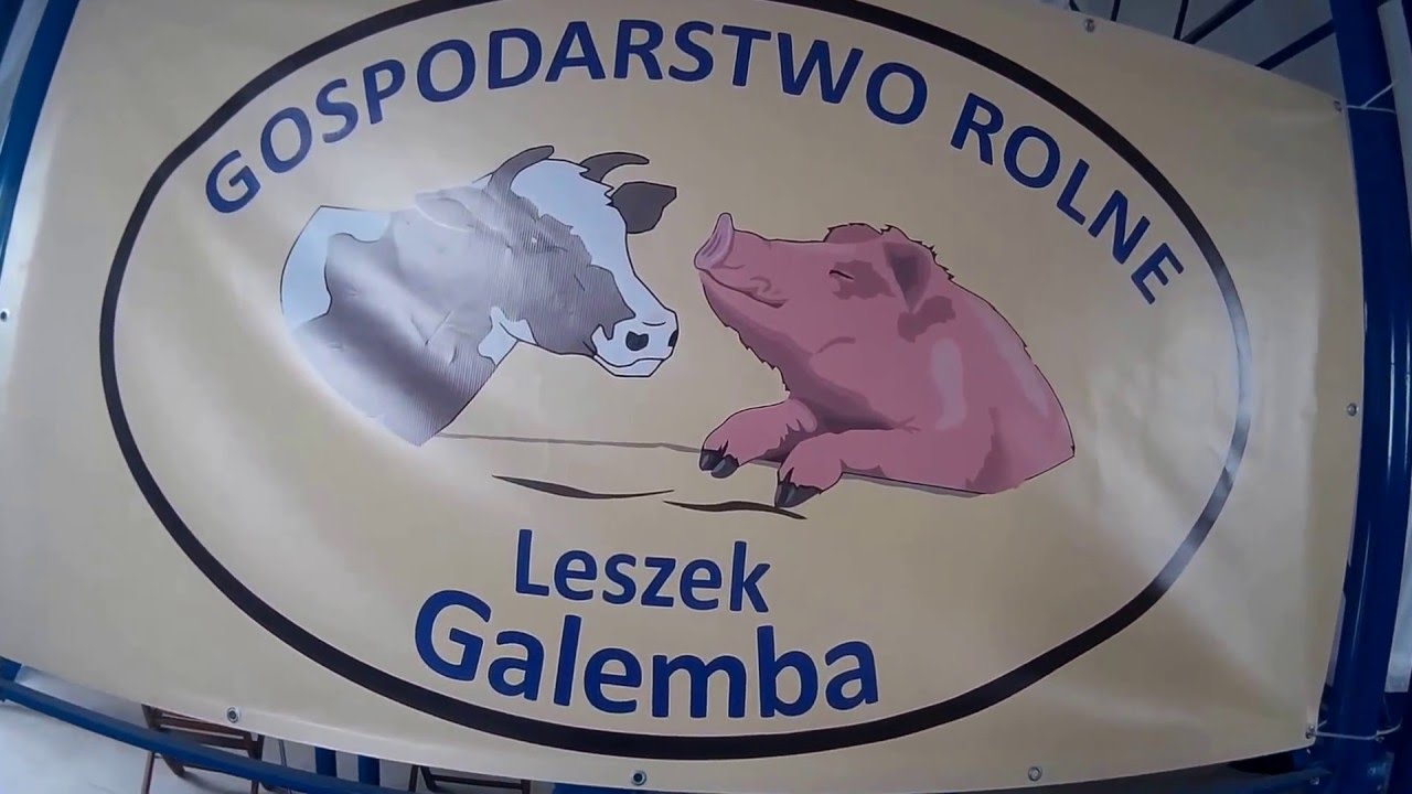 Otwarcie nowej chlewni 2016