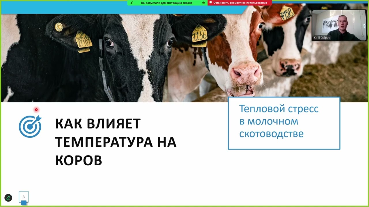 06 05 Кирилл Осипов «Микроклимат в коровнике  Неочевидные особенности»