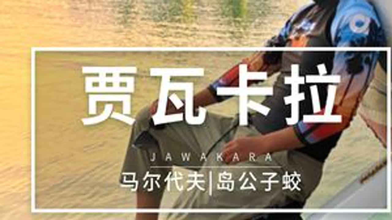 第2集丨马尔代夫贾瓦卡拉 远超5星，不输6星！我决定再来~ 不管马尔代夫新岛怎么卷，反正贾瓦卡拉赢麻了！#马尔代夫贾瓦卡拉 #马尔代夫选岛 #岛公子蛟 #七彩假期马尔代夫 @七彩假期 @岛主安...