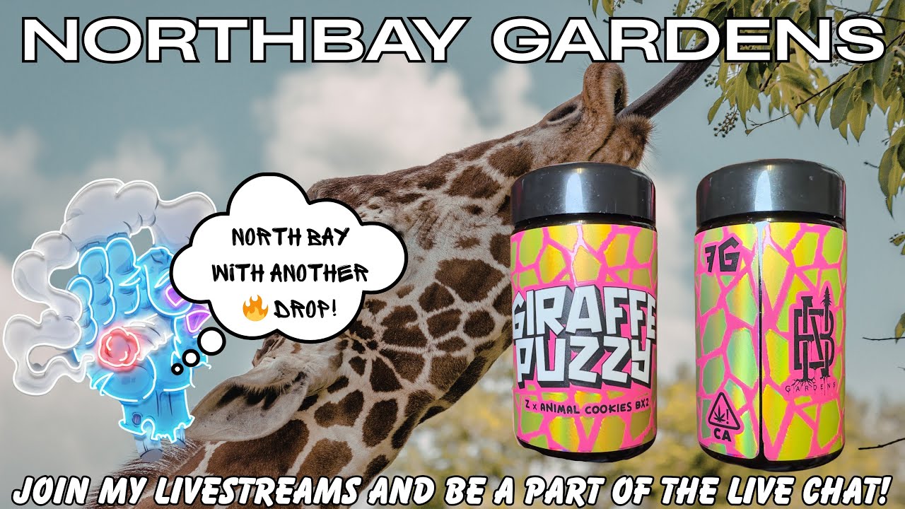 GIRAFFE PUZZY BY NORTHBAY GARDENS! 