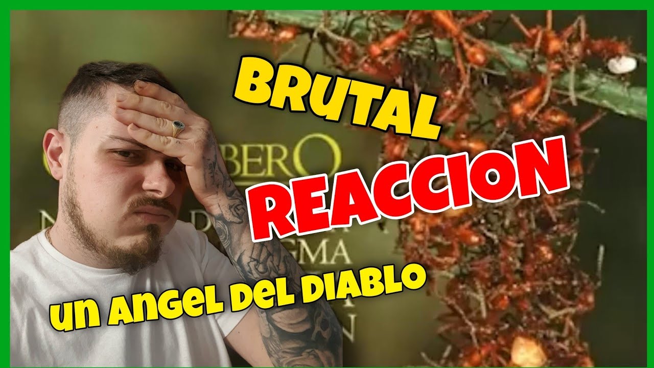 Advertencia 🔥⚠️ CANSERBERO [ REACCIÓN Bellota ]