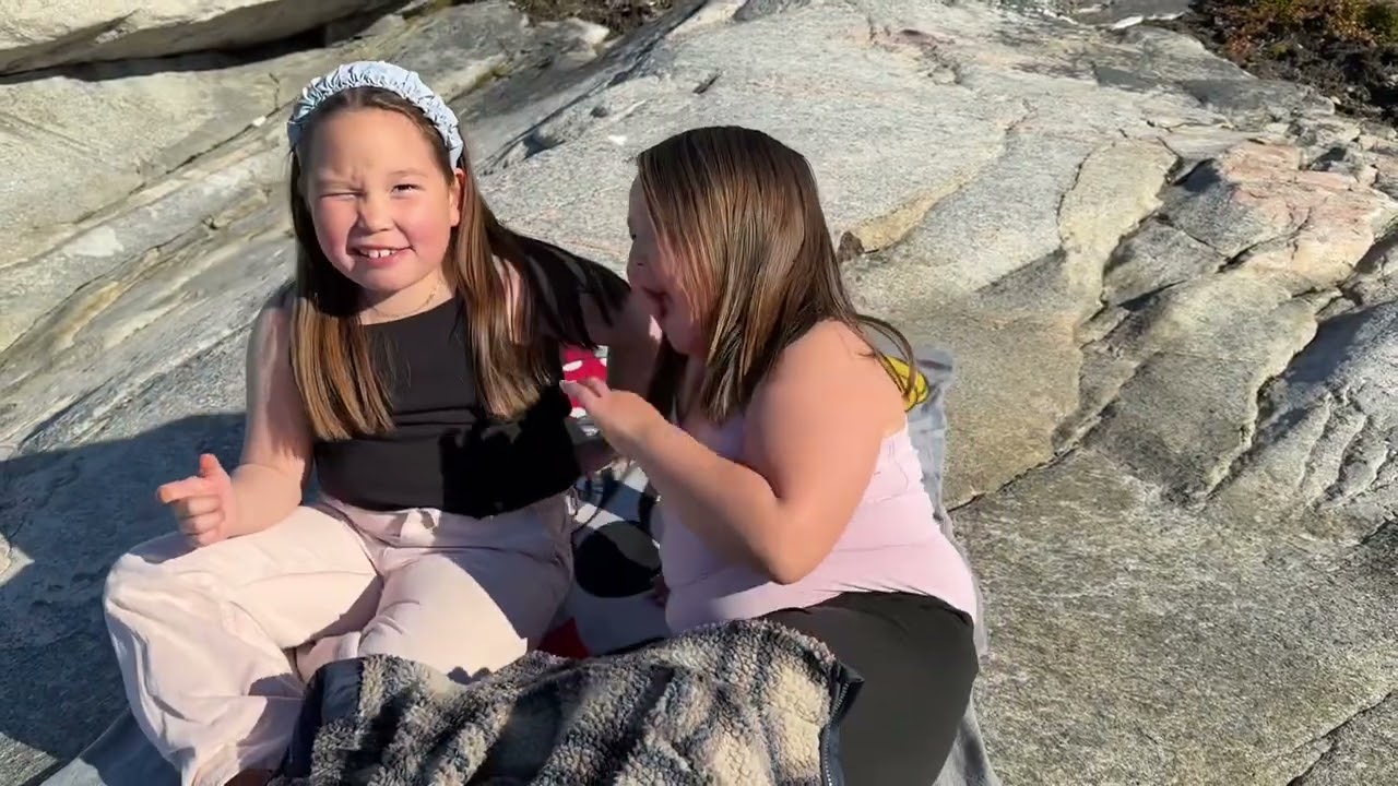 Vlog-liorluni misiliineq / Nuniangiarneq