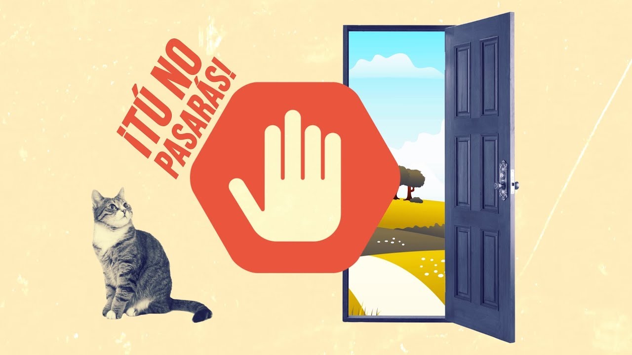 ¿Tu gato quiere escaparse? 🌳🐈🏠 | Convierte tu casa en un paraíso gatuno 😻✨