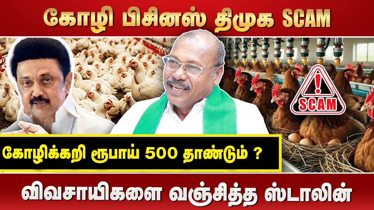 கோழி பிசினஸ் திமுக SCAMகோழிக்கறி ரூபாய் 500 தாண்டும் ?விவசாயிகளை வஞ்சித்த ஸ்டாலின் #zhagaramvoice