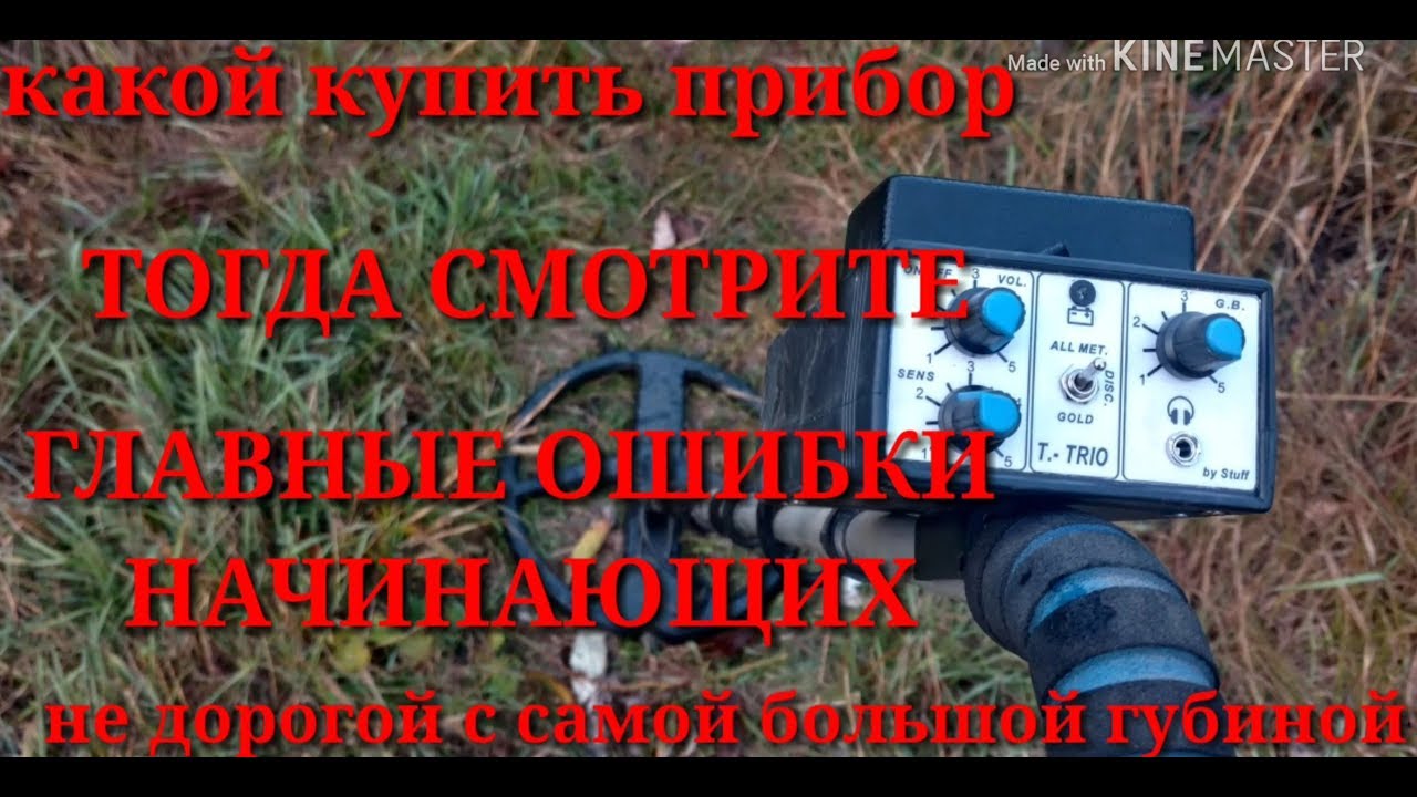 Лучший профисиональный металлоискатель за 100$  советы и ошибки при покупке металлоискателя