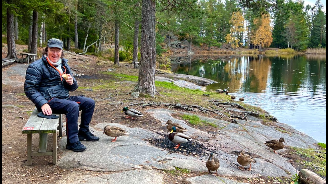 Bobiltur til skogs i Telemark