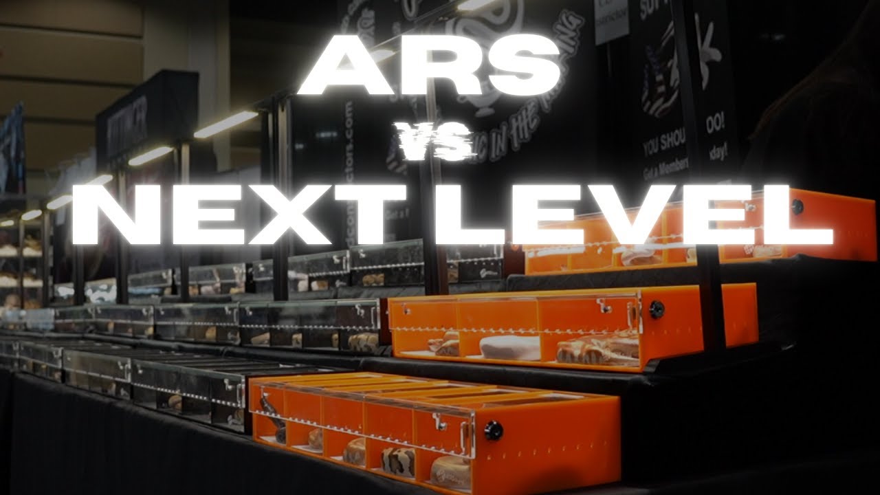 A Review: Why I choose ARS over Next Level Displays