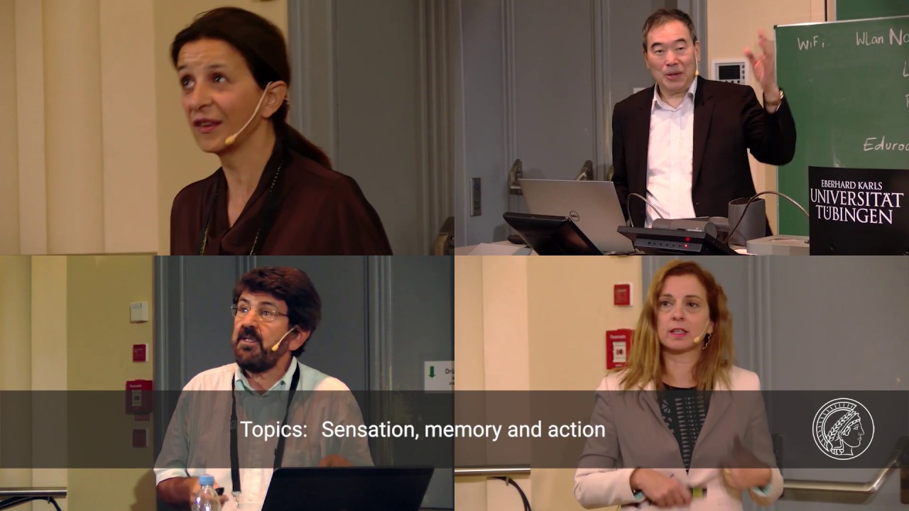 Mystery of the Brain - Symposium 2019 Review