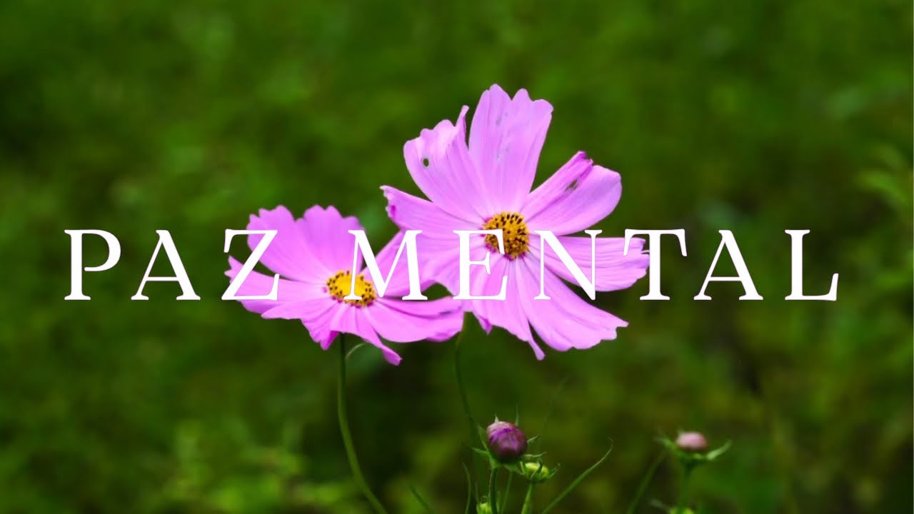 Sana tu mente 🌸 Música Relajante para Aliviar Estrés y Ansiedad.