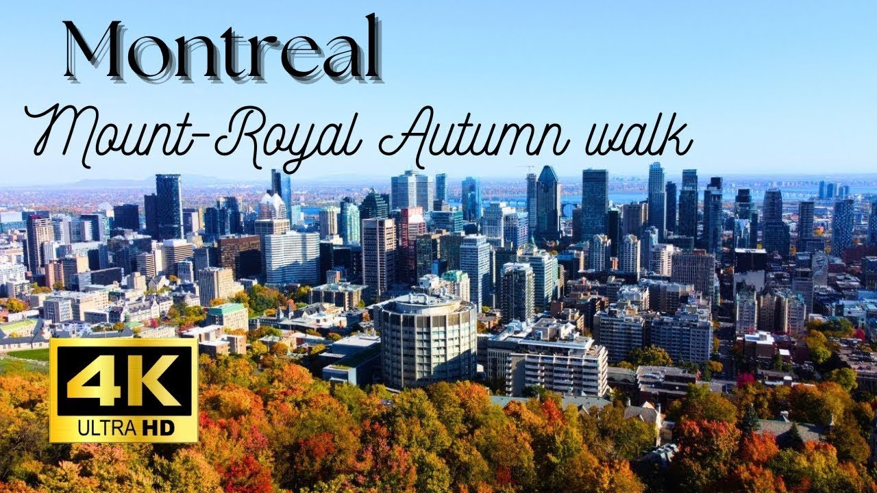 [4K] Walking tour in Mount-Royal Park | Autumnal admiration | October 2024 | Montreal, Canada 🇨🇦