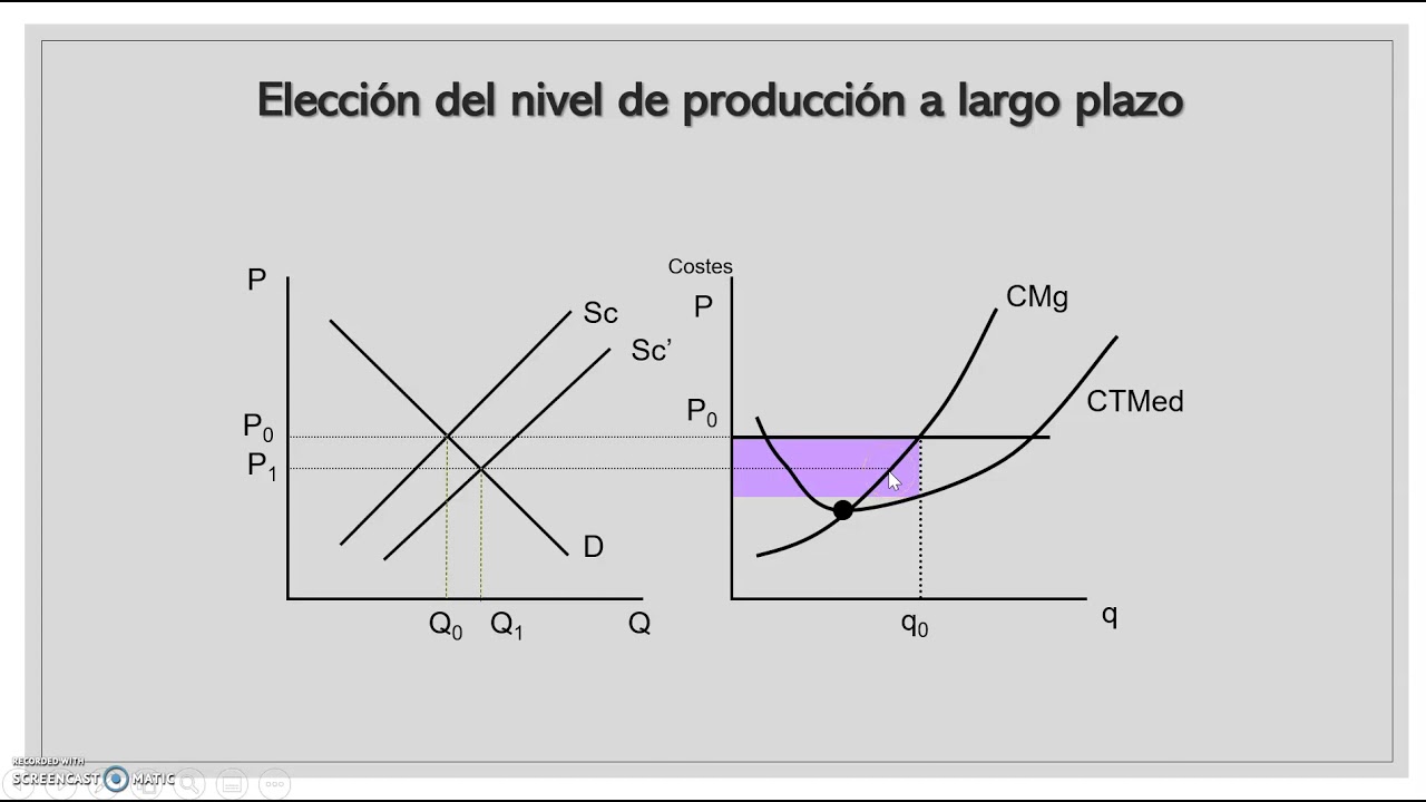 Tema 5.7 - Elección del nivel de producción a Largo Plazo