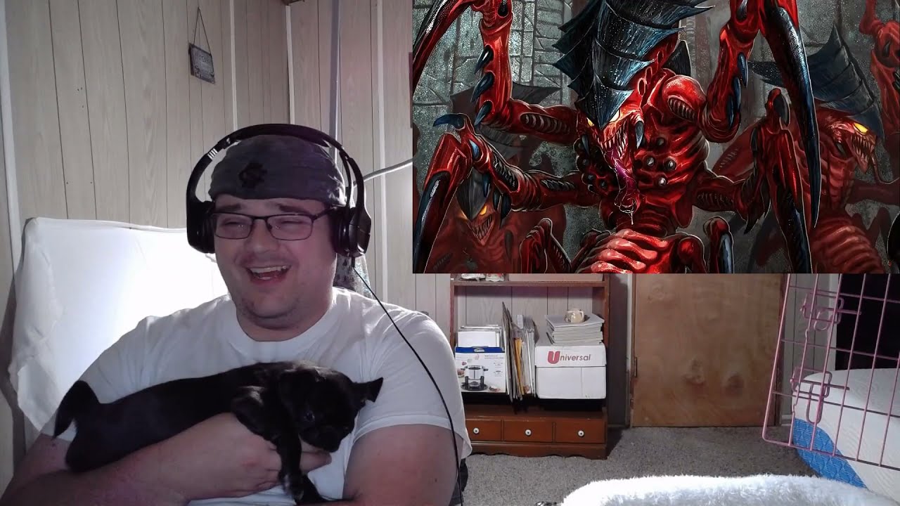Every Single Tyranid Hive Fleet Explained by an Australian by Majorkill  - Reaction