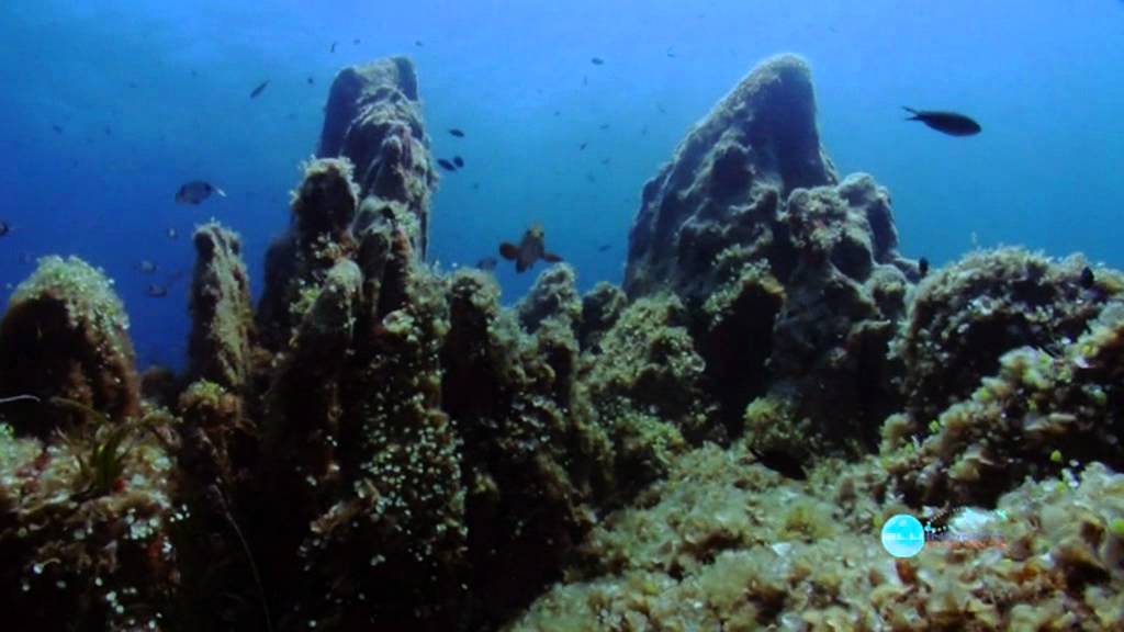 BLU INFINITO diving center presenta l'AMP di Tavolara e Capo Coda Cavallo