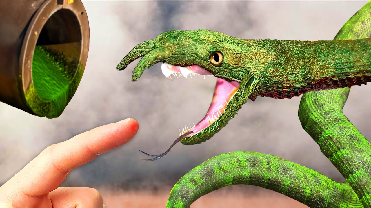 Venomous Snake Found in Bangkok Sewer!