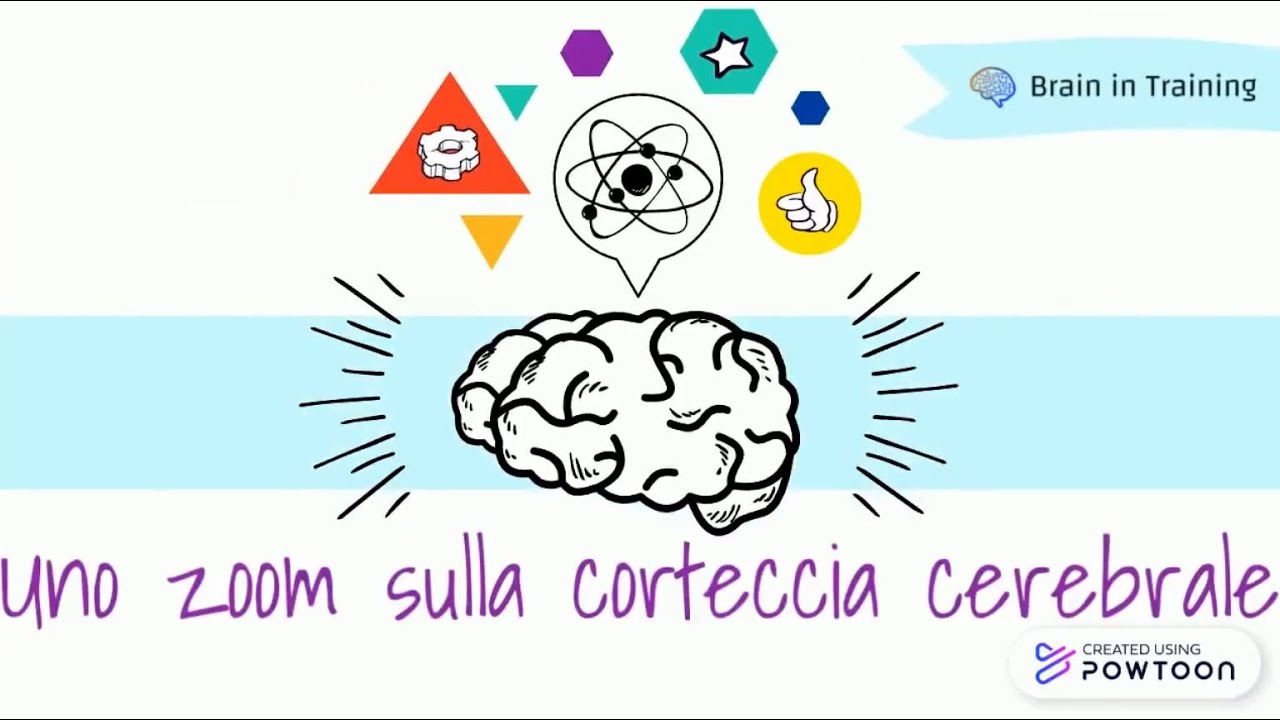 UNO ZOOM SULLA CORTECCIA CEREBRALE...IN 3 MINUTI || Brain in Training 🧠