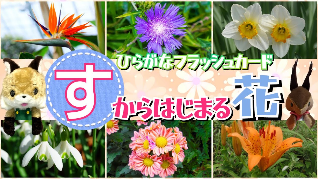 【フラッシュカード】☆ひらがなのお稽古＆語彙力のアップに☆「すから はじまる花」