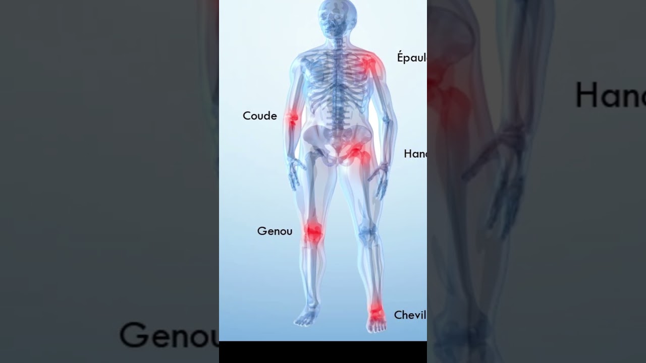 ANATOMIE -1- préparation concours EPS الاستعداد لمباراة التعليم تخصص التربية البدنية والرياضية