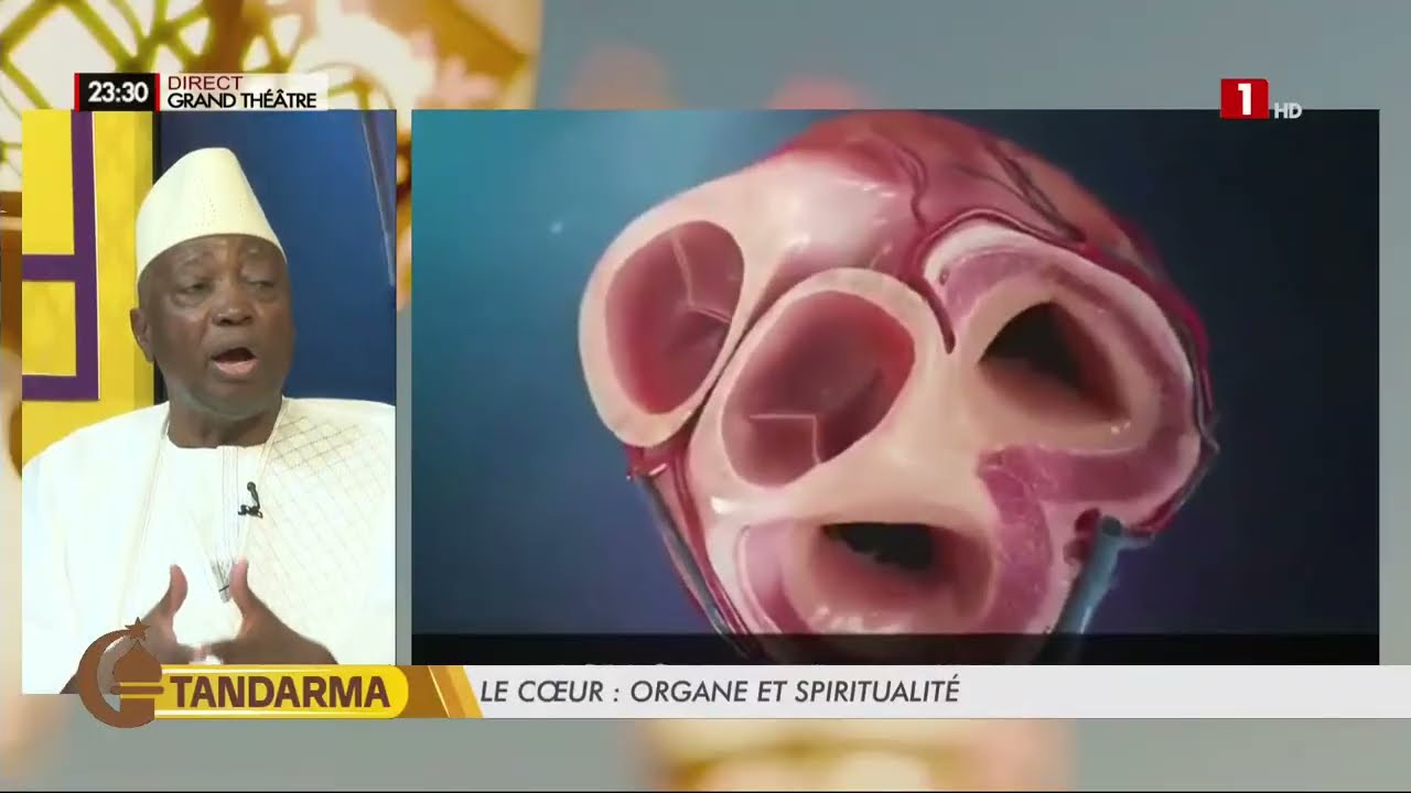 Santé du cœur : les aliments à privilégier selon le Pr Serigne Abdou Ba