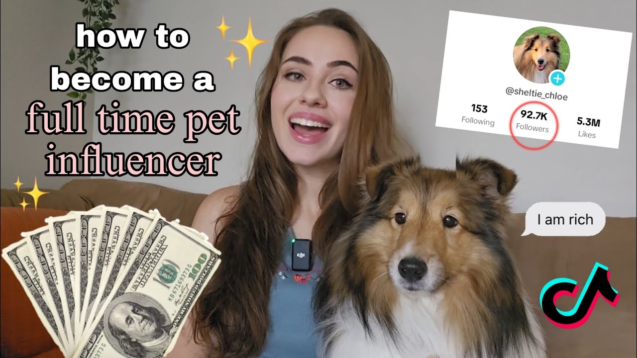 How to Become a Full-time Pet Influencer