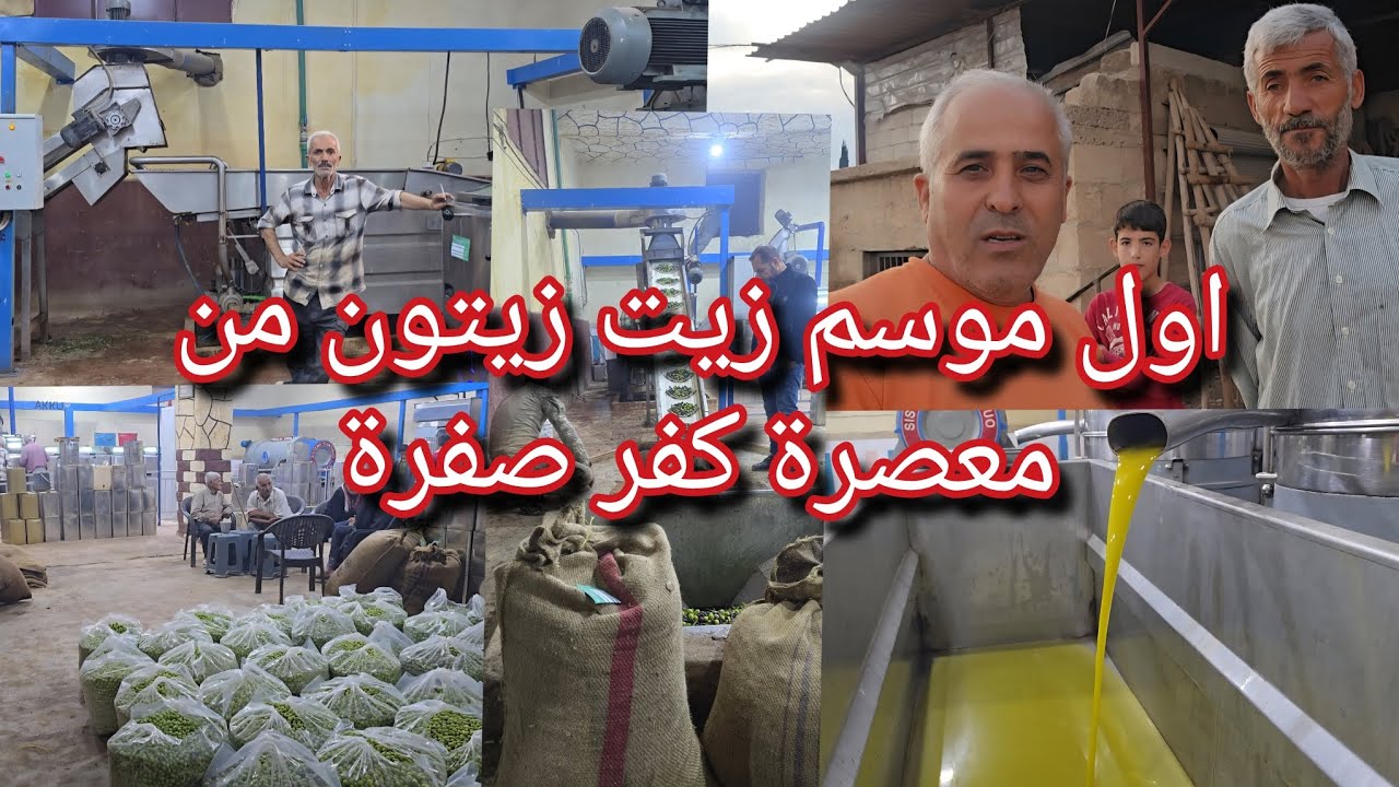 بلش موسم  زيت زيتون جديد من معصرة كفر صفرة شرح كامل #قناه_ام_رودي #اكسبلور 