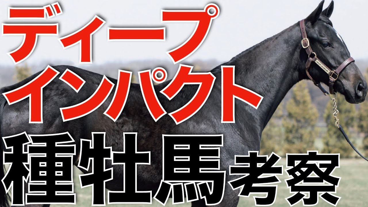 種牡馬ディープインパクトの産駒傾向を考察！日本が世界に誇る大種牡馬。