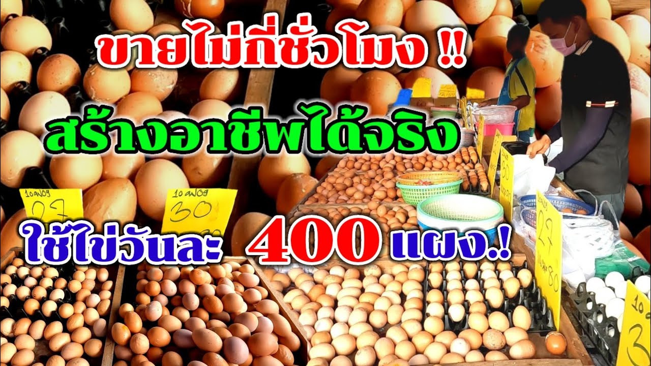 สร้างอาชีพได้จริง‼️ขายไม่กี่ชั่วโมง🔥ใช้ไข่วันละ400แผง!!!12,000ลูก😱ขายมาแล้ว40ปี