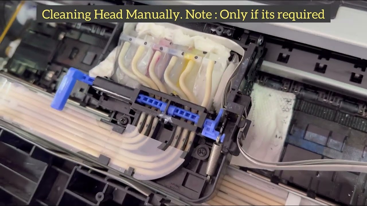 Manual Head Cleaning for EPSON L18050 ( Do it carefully )