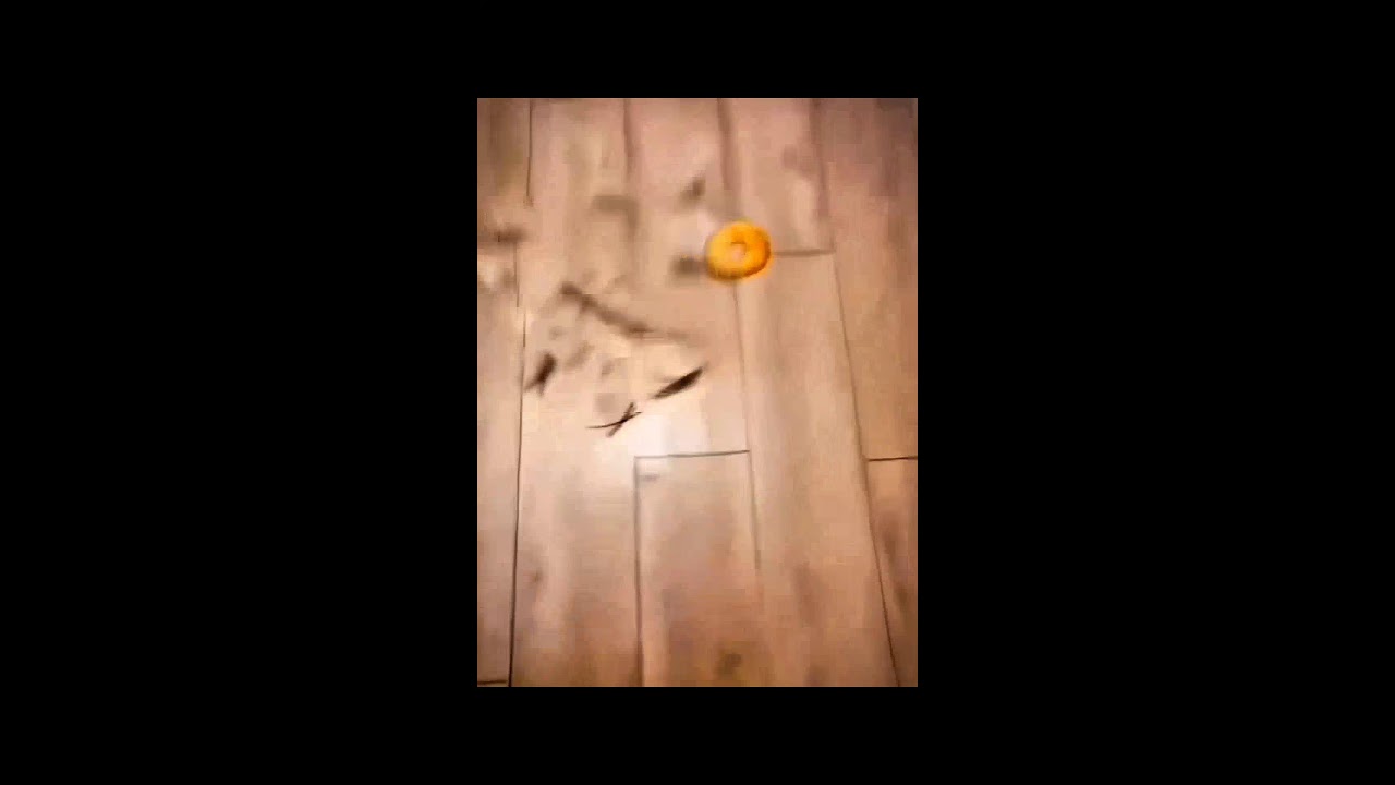 RONALDO BEST TOP NO 1 EDITS