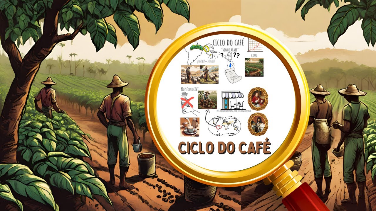 08 - CICLO DO CAFÉ NO BRASIL para quem tem pressa