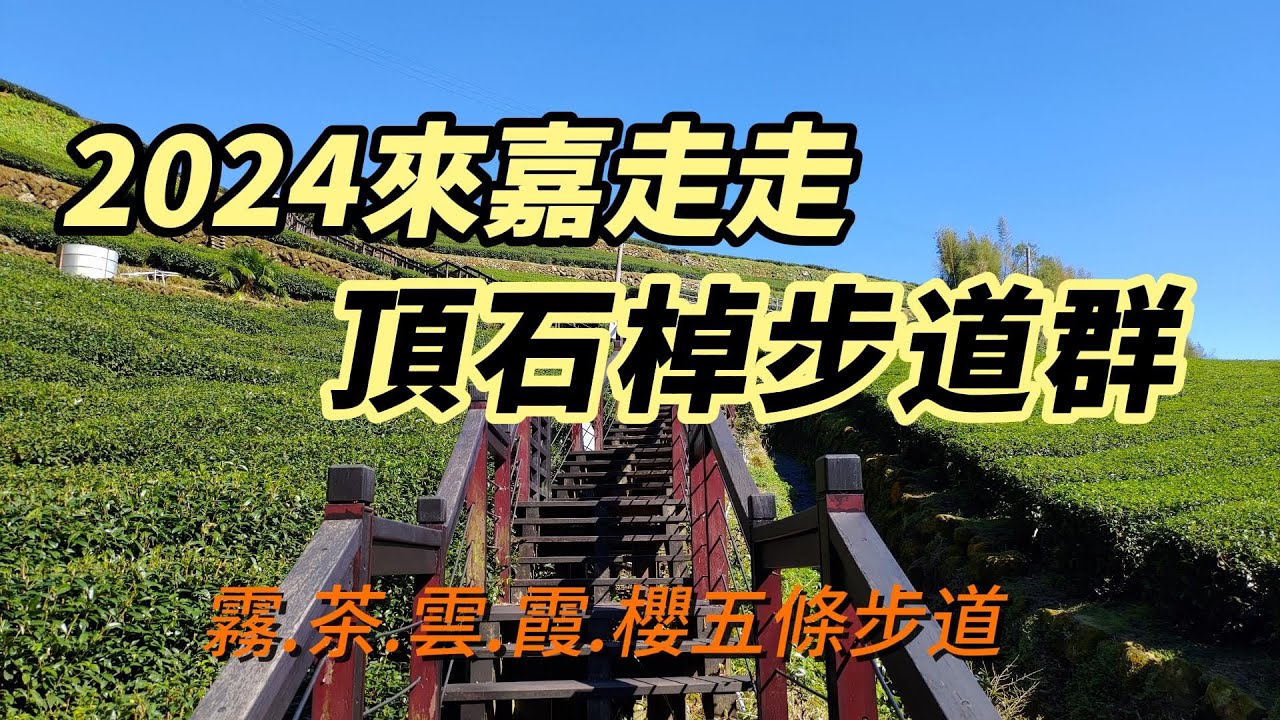 [嘉義]2024來嘉走走~頂石棹步道群|霧茶雲霞櫻五條步道
