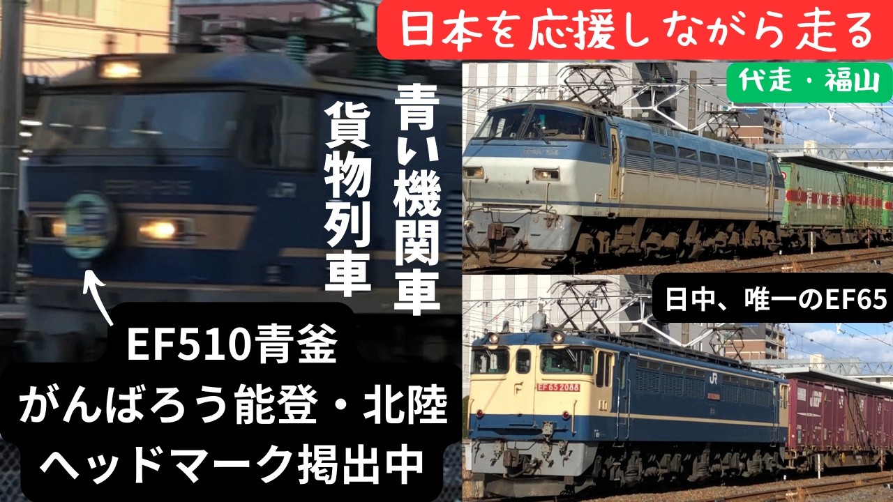 【バラエティ貨物列車】アルフォートコンテナ、行列のできる店のラーメンコンテナ おいしそうな貨物列車が東海道本線を行き来 EF65 EF66 EF210 EF510 20241202～20241208