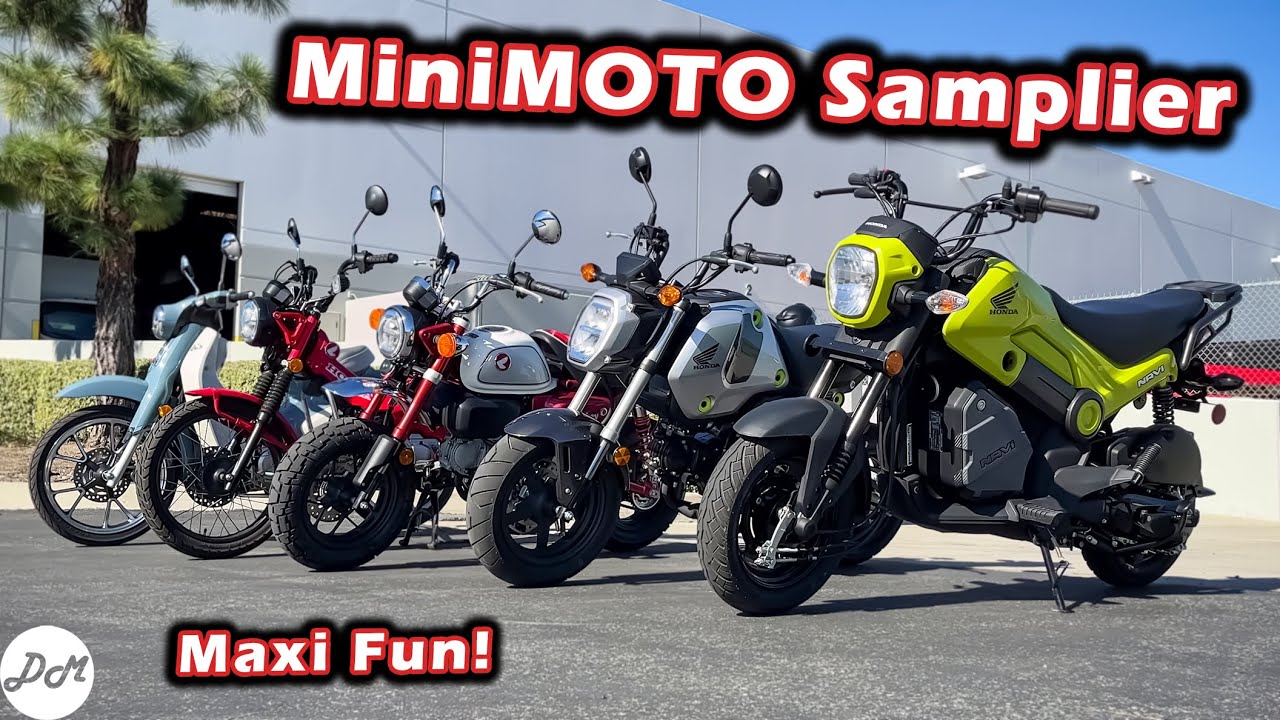 Honda MiniMOTO Buyer's Guide: Grom, Monkey, Navi, Super Cub, Trail 125 Comparison