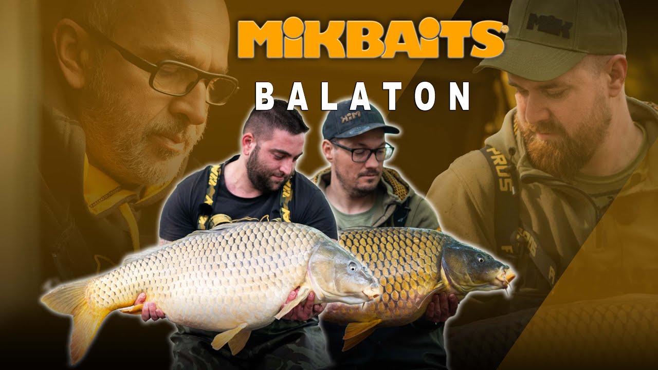 Mikbaits Balaton 2024