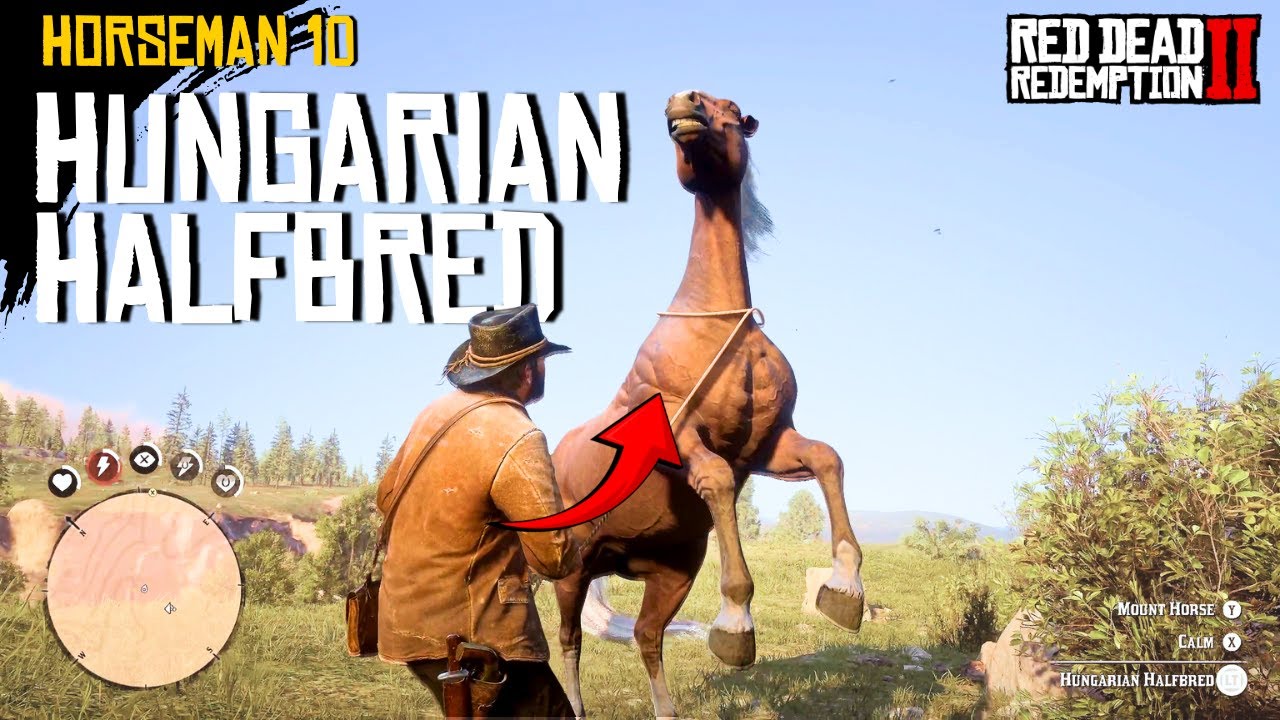 В этой миссии каждый раз появляется венгерский полукровка — RDR2