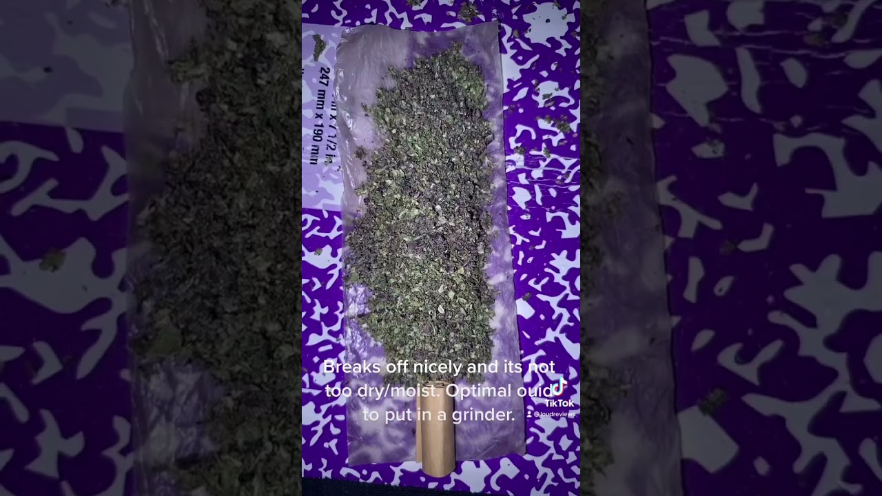 MoneyBag Runtz Weed Review
