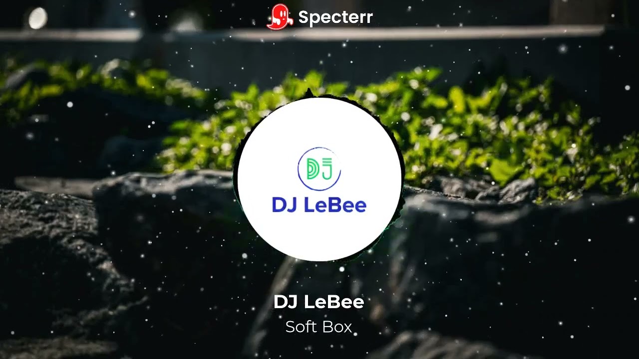 DJ LeBee - Soft Box