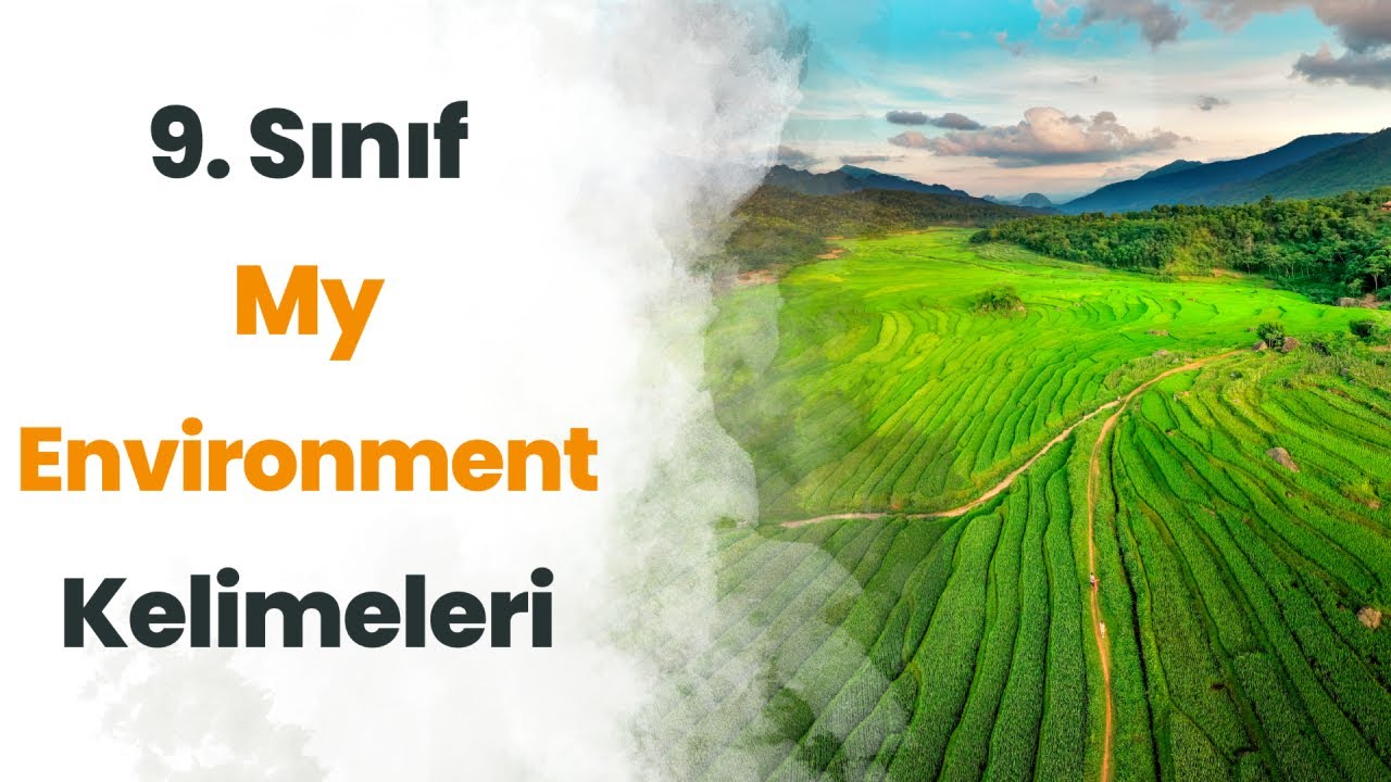 9. Sınıf İngilizce 2. Ünite Kelimeleri (My Environment) - Testli + PDF