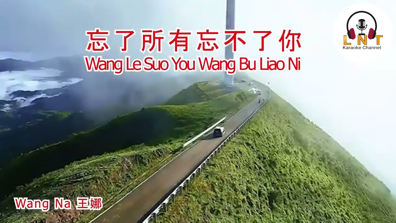 忘了所有忘不了你 Wang Le Suo You Wang Bu Liao Ni   Wang Na 王娜   Vocal