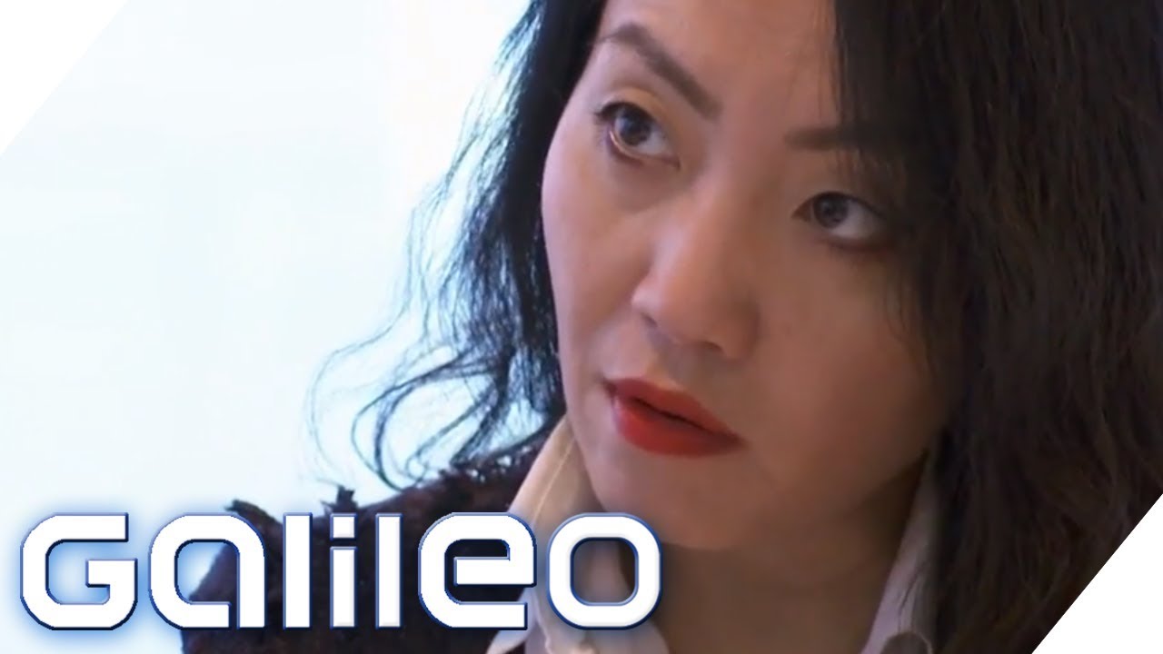 China kauft deutsche Firmen: Droht Deutschland der Ausverkauf? | Galileo | ProSieben