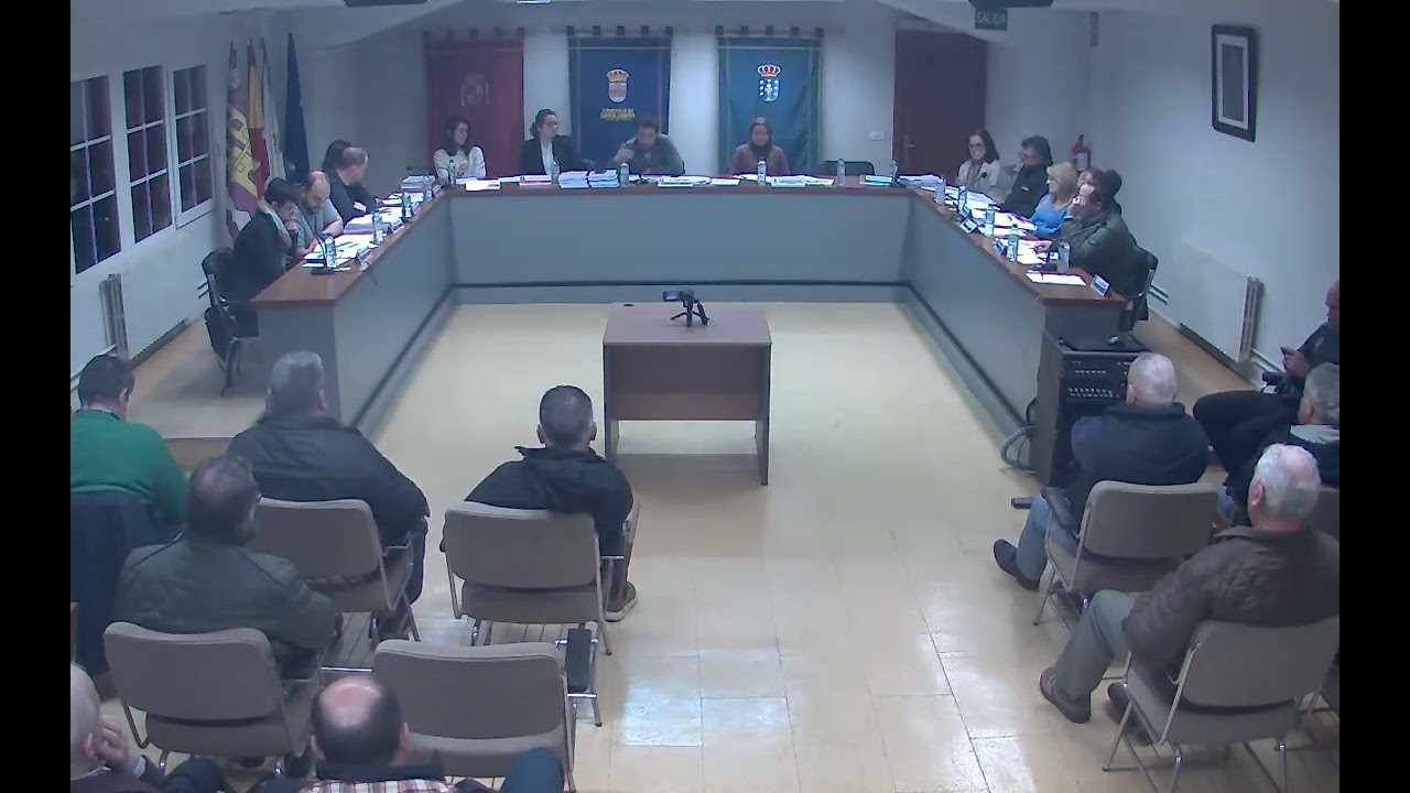 Pleno Ordinario 31/01/2025
